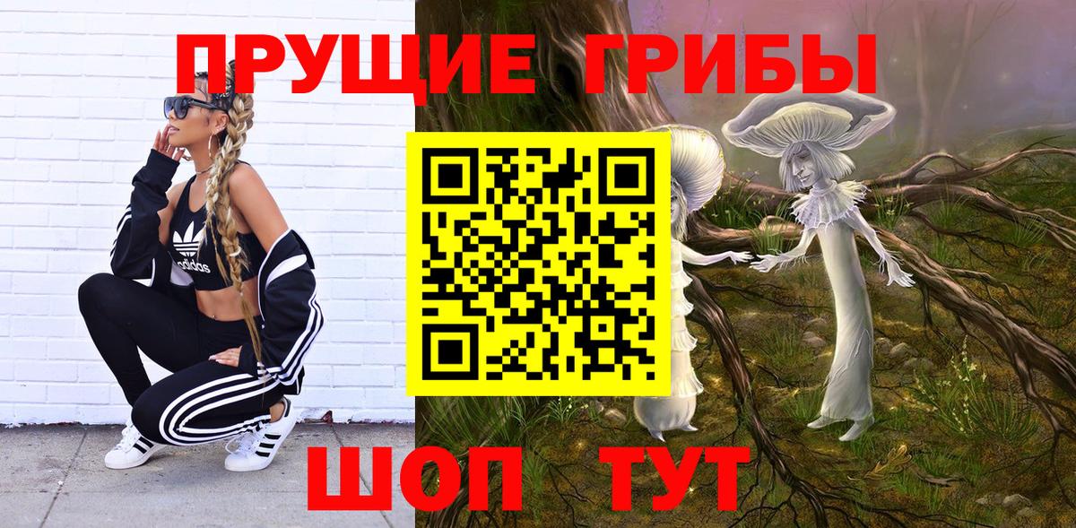Фролово  Галлюциногенные грибы Cubensis  Вход с VPN  Галлюциногенные грибы Psilocybine cubensis 